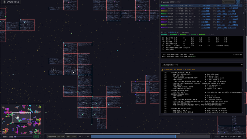 Evochora Visualizer showing organism grid, registers, and assembly debugger
